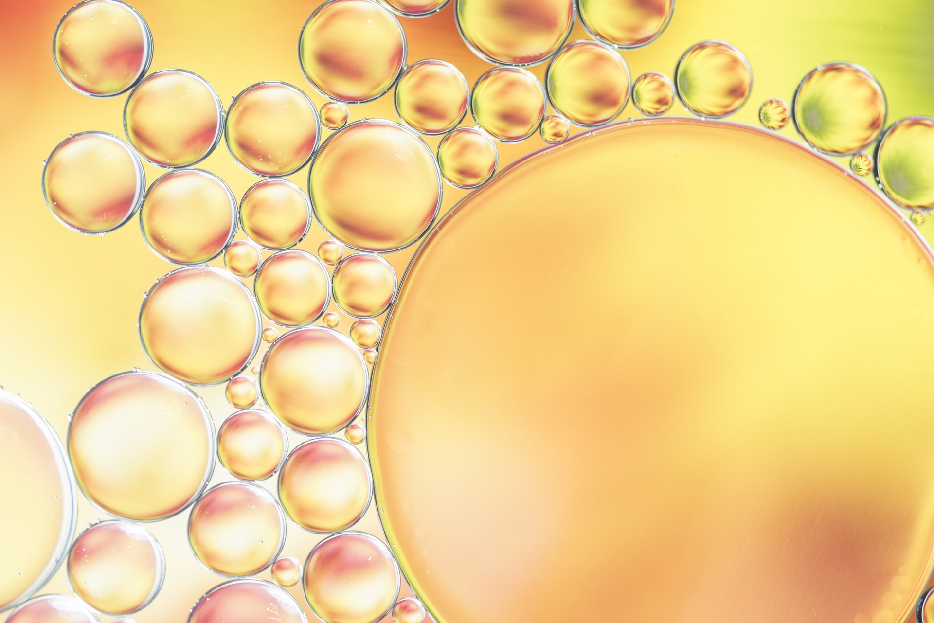 Thanyapura-Sports-Health-Resort-abstract-yellow-different-bubbles-texture